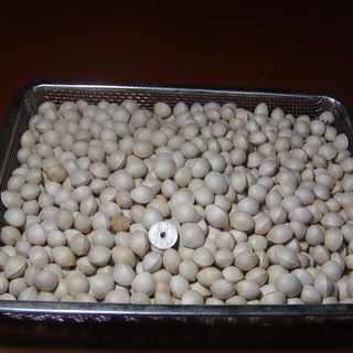 銀杏　残り3kgの画像