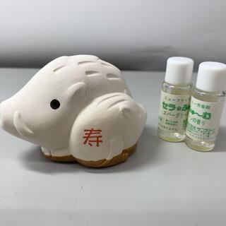 サニクリーン  セラふゅーむ エバーグリーンの香り