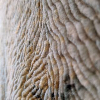猫 絵画絨毯 ◆高級ペルシャ絨毯◆ウール・シルク手織の画像