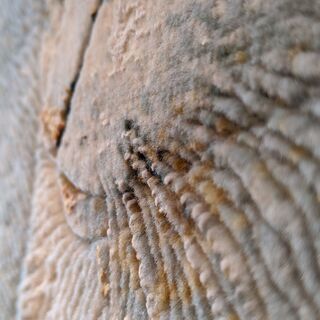 猫 絵画絨毯 ◆高級ペルシャ絨毯◆ウール・シルク手織の画像