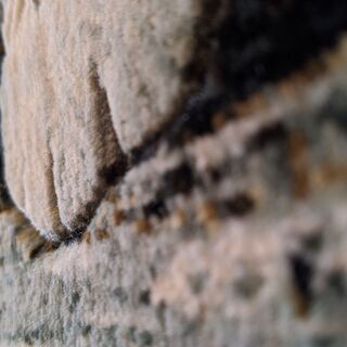 猫 絵画絨毯 ◆高級ペルシャ絨毯◆ウール・シルク手織の画像