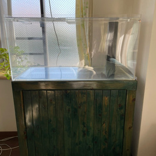 値下げしました！海水魚フルセット