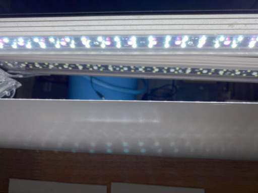 レイマックス600