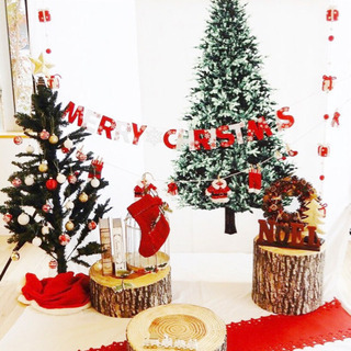 ランチ、フォト、プレゼント付き♡クリスマスベビーマッサージ！の画像