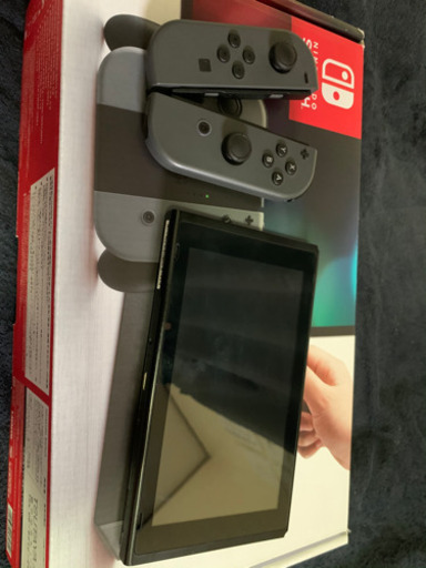 Nintendo switch(グレー) とあつまれどうぶつの森セット