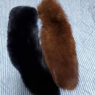 ブルーフォックスショールの画像