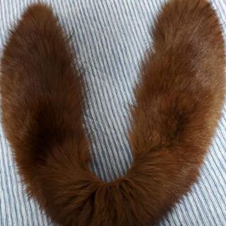 ブルーフォックスショールの画像