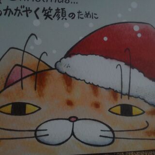11/29日：パンダ広場に「ねこ雑貨大集合」：きも可愛い猫の20...