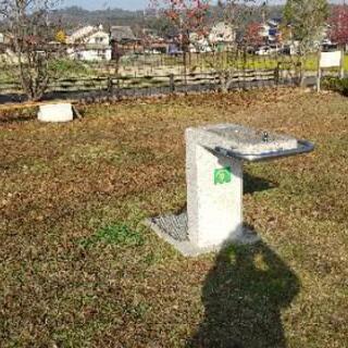 中国語クラスの開設準備をしています。児童から高齢者もちろん子育て中の人募集中です、の画像