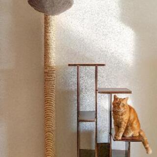 キャットタワー セット