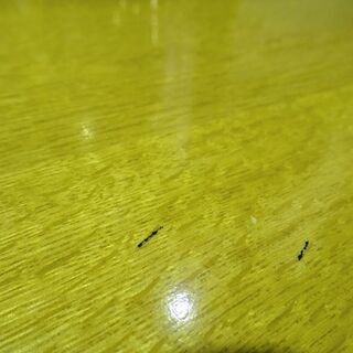 【オーダー家具】収納ダンス キャビネット リビング収納 スライド引出し 仕切付き 木目の画像