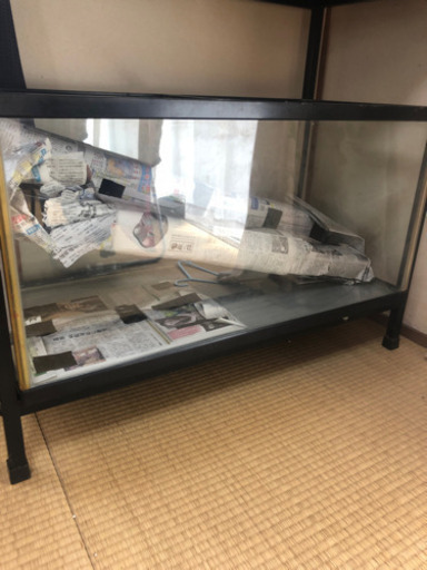 90センチ水槽