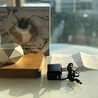 【1品限り❗️6000円引き❗️新品未使用品❗️】　浮くインテリア、植木鉢、プランター