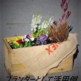 りんご木箱③　おしゃれ家具やDIYに♪　保管流通用で実際に使用されたリンゴ木箱ですの画像