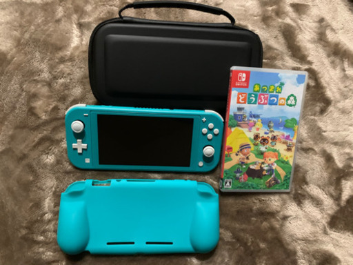 Nintendo Switchライト 5点セット