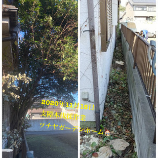 木の伐採致します　庭の手入れ店/所沢市狭山市川越市入間市飯能市