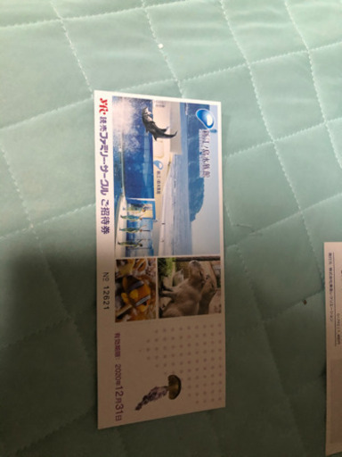 新江ノ島水族館ご招待券！✖️4枚！