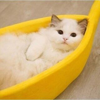 【お値下げ！】SR001◆)かわいいバナナ型のペットベッド ハウ...
