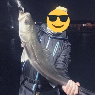 釣り仲間を募集しています！シーバス、チニング、仲良くなったら遠征など
