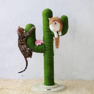 猫が大好きな人。 猫を幸せにしたい人