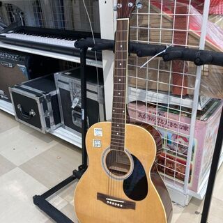 SepiaCure アコースティックギター F-130N