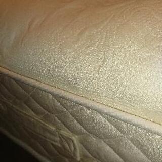 ☆キングスダウン☆の画像