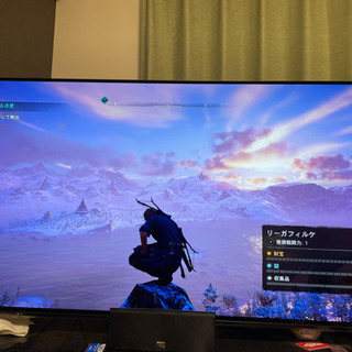 VIERA 有機ELテレビ55インチ　