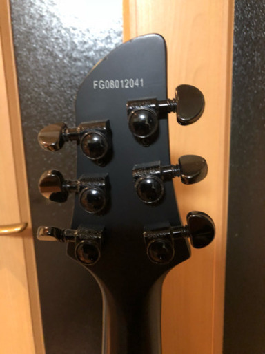 Fernandes　APG　SCORPION　