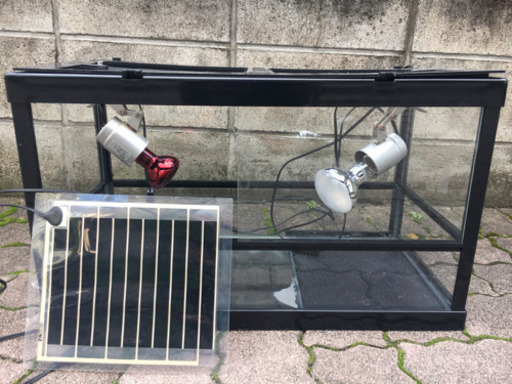 爬虫類ケージ 60×30×35cm　陸ガメに　直ぐに使えるフルセット　引取限定