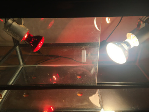 爬虫類ケージ 60×30×35cm　陸ガメに　直ぐに使えるフルセット　引取限定