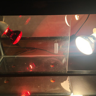 爬虫類ケージ 60×30×35cm　陸ガメに　直ぐに使えるフルセット　引取限定の画像