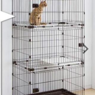 猫用ケージ譲ってください🐈️ご覧頂き協力ありがとうございました🐈️