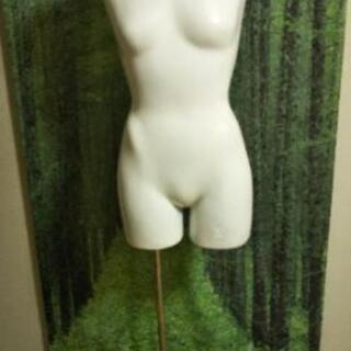 ♪お値下げ！トルソー  マネキンの画像