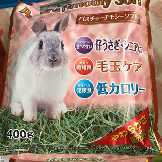 シニアのうさぎの餌やおやつなどの画像