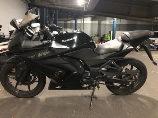 ニンジャ250r