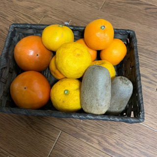 季節の果物(お取引中)