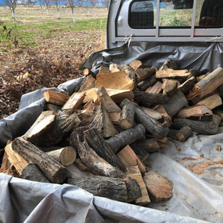 コロ薪 広葉樹ミックスの画像