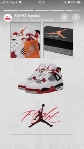 おもちゃ NIKE AIR JORDAN 4 RETRO