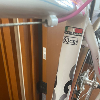 ビアンキ COAST TO COAST 53cm