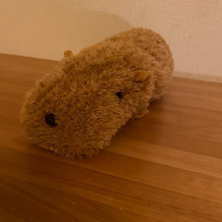 カピバラ　ぬいぐるみ