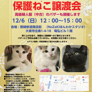 12月6日(日) 保護ねこ譲渡会＆高級婦人服（中古）チャリティバ...