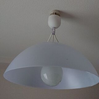 照明(電球付き)