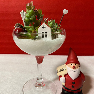 多肉植物のXmasアレンジ寄せ植えさ③