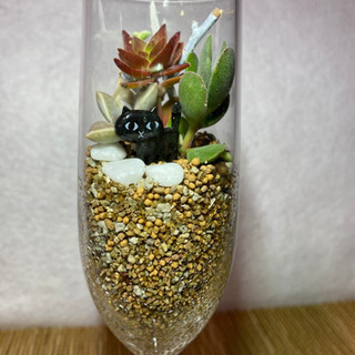 多肉植物の寄せ植え  黒猫が可愛い②