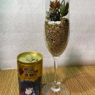 多肉植物の寄せ植え  黒猫が可愛い②の画像