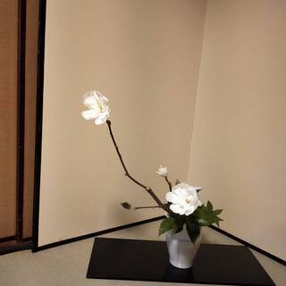 【生け花教室】奈良県天理市　毎月第2・4木曜日　午後13時～19時　の画像