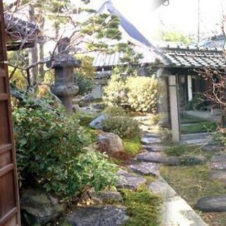 【生け花教室】奈良県天理市　毎月第2・4木曜日　午後13時～19時　の画像