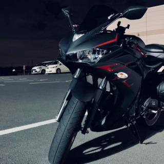 【値下げ中】ヤマハ yzfr25 YZF-R25 アクラポビッチ...