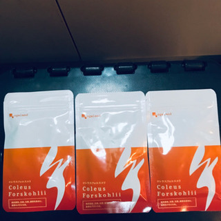 オーガランド  コレウスフォレスコリ３パックセット
