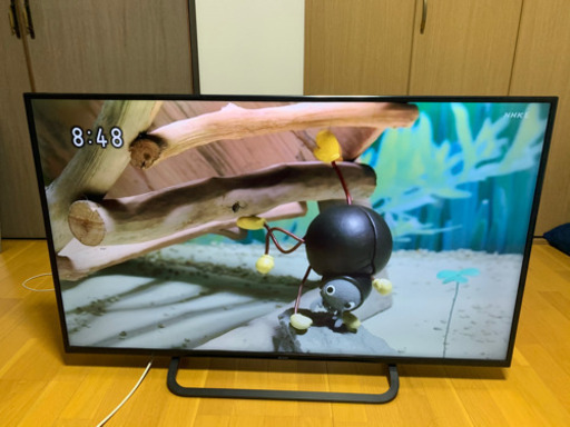 Qriom 49インチ4Kテレビ